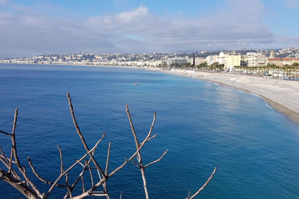 Studette En Plein Coeur Du Vieux Nice Luaran gambar